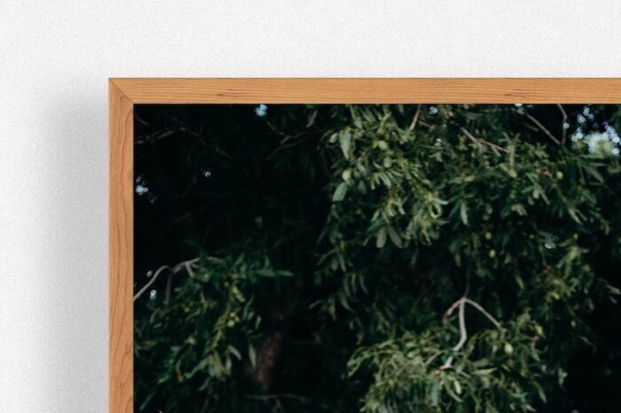 Pre-Wedding Frame – Image 3