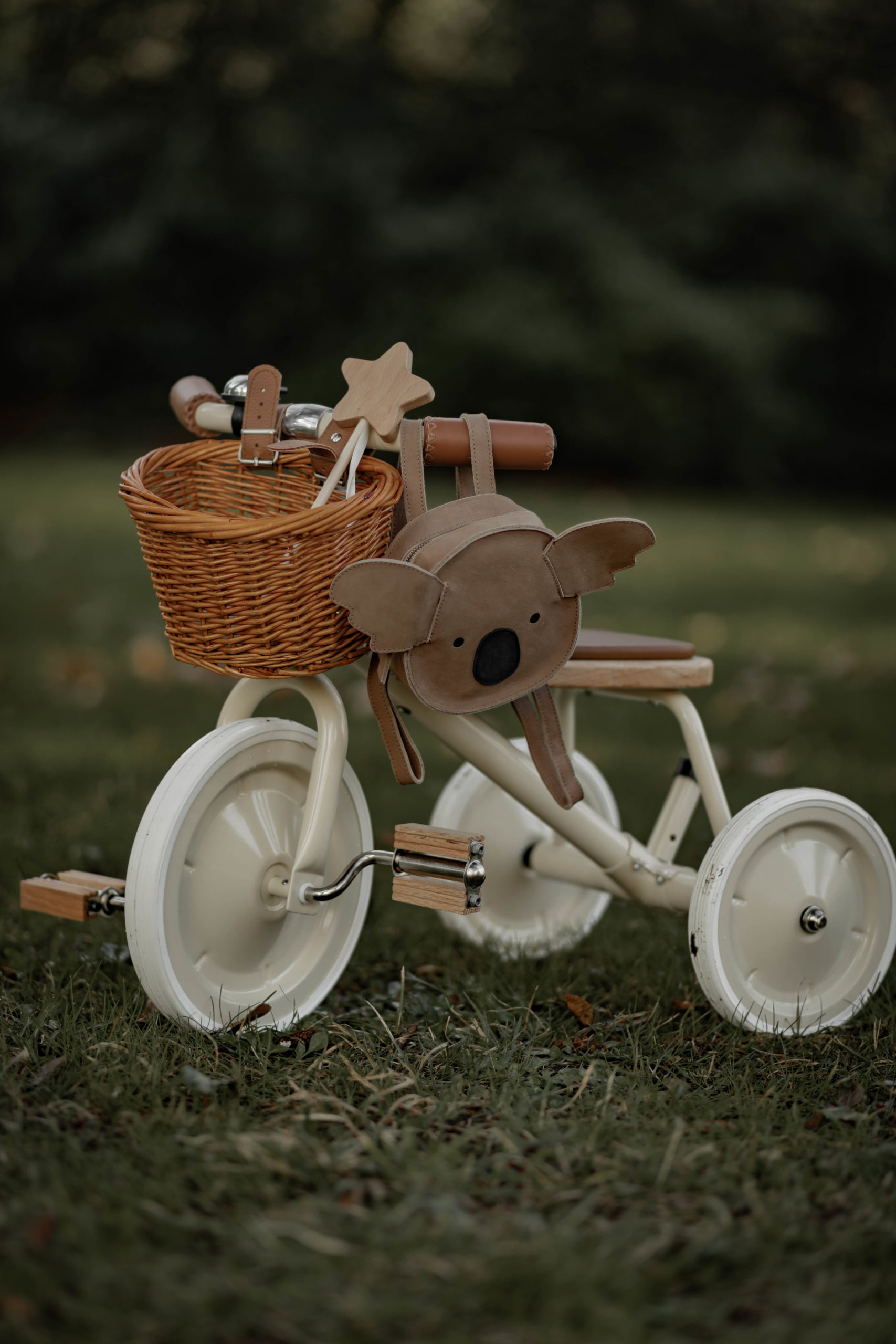 Le premier tricycle